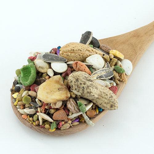 Bird Treats - All Things Birds