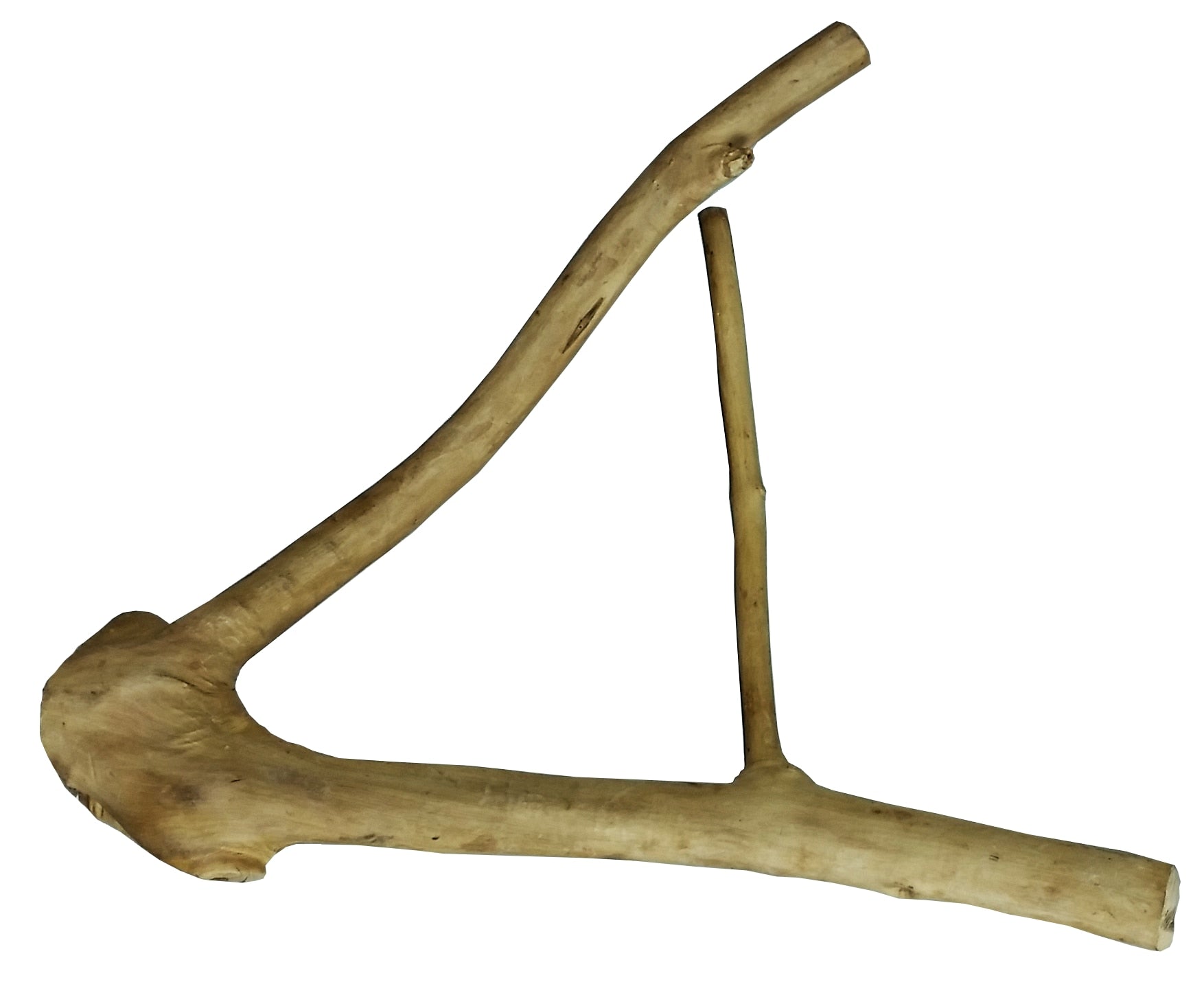 Small Java Wood Multi Branch Perch