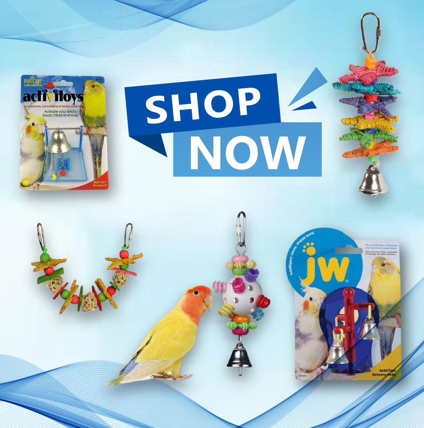 All Things Birds