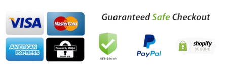 Secure checkout by shopify