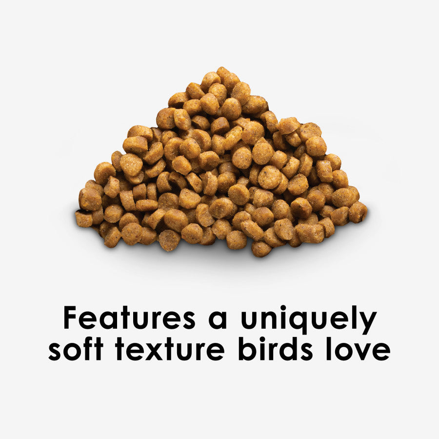 Kaytee Nutrisoft Conure and Parrot Bird Food- 3lb