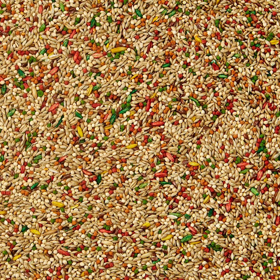 Kaytee Forti-Diet Pro Health Parakeet Food