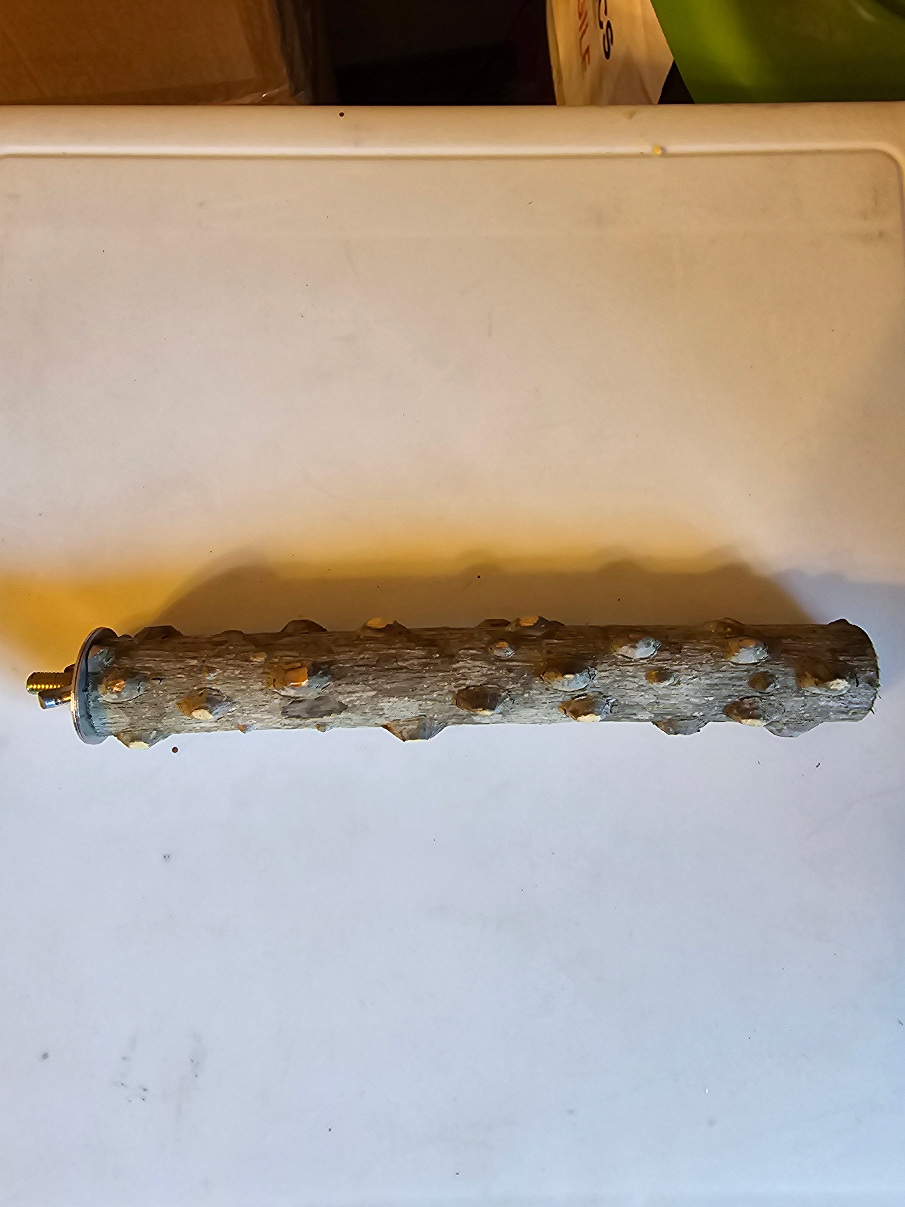 Natural Apple Wood Bird Perch
