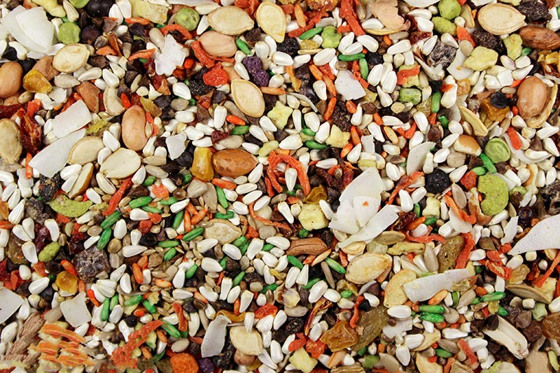 Royal feeds small hookbill cuisine