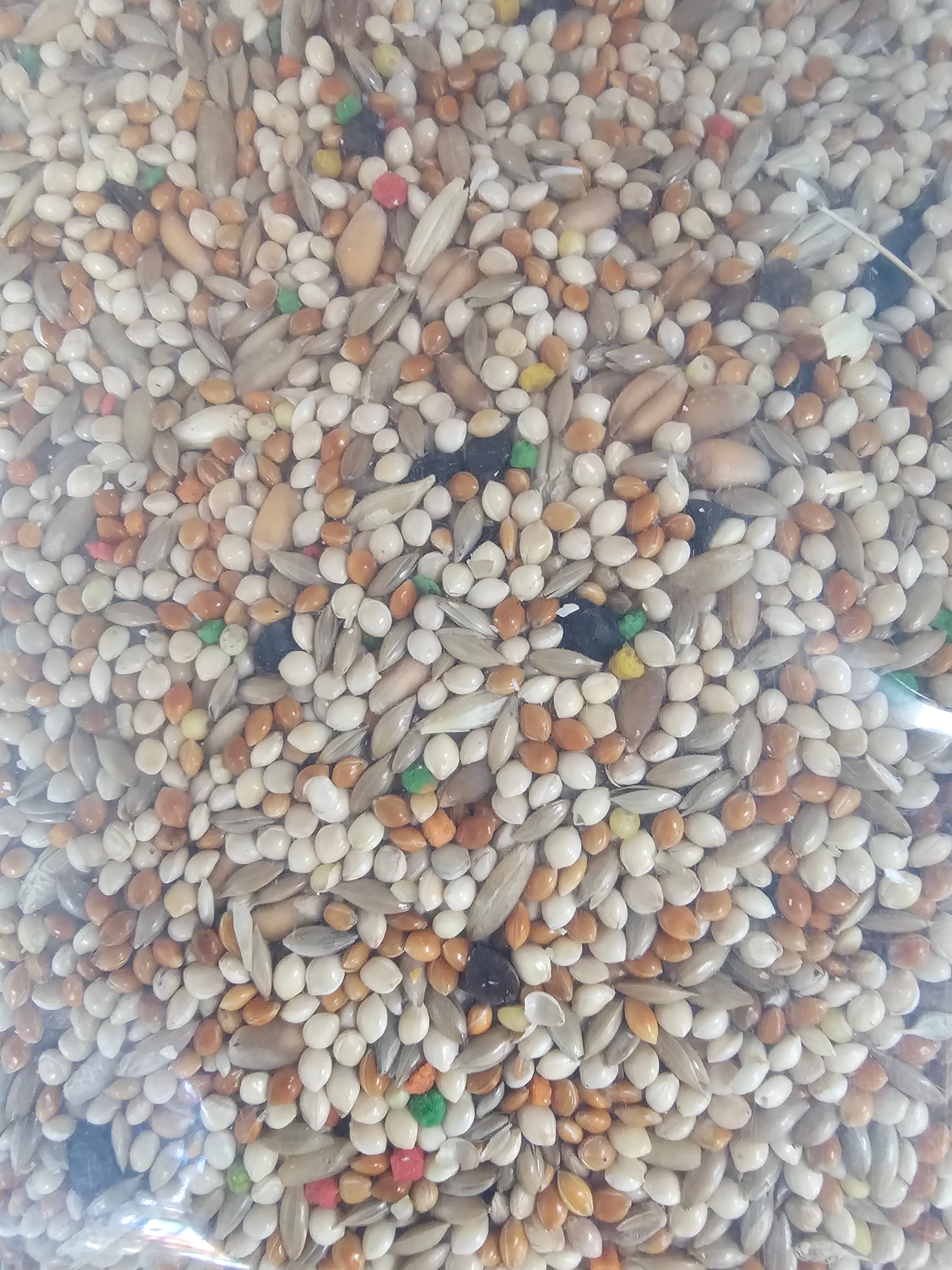 4 The Birds Premium Parakeet Seed