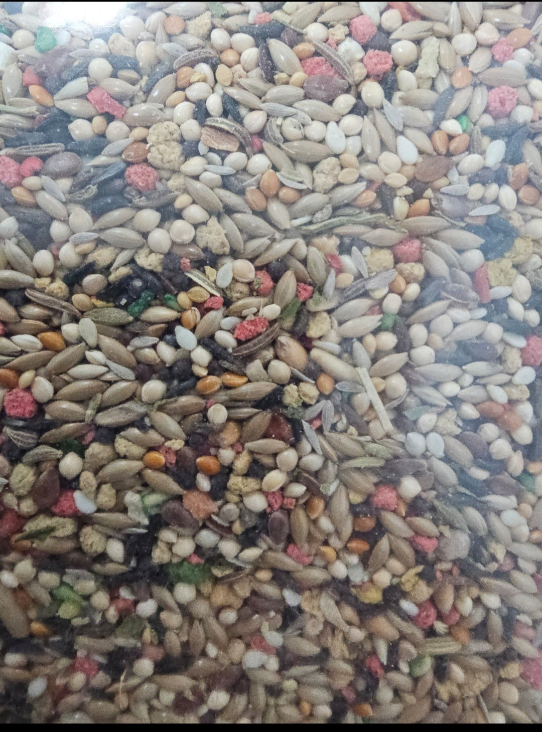 Kaytee Fiesta parakeet seed