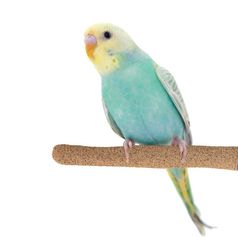 Super Bird Creations Sure Grip Perch Small