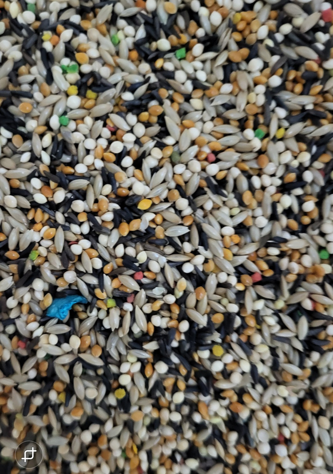 4 The Birds Finch Seed-4lb