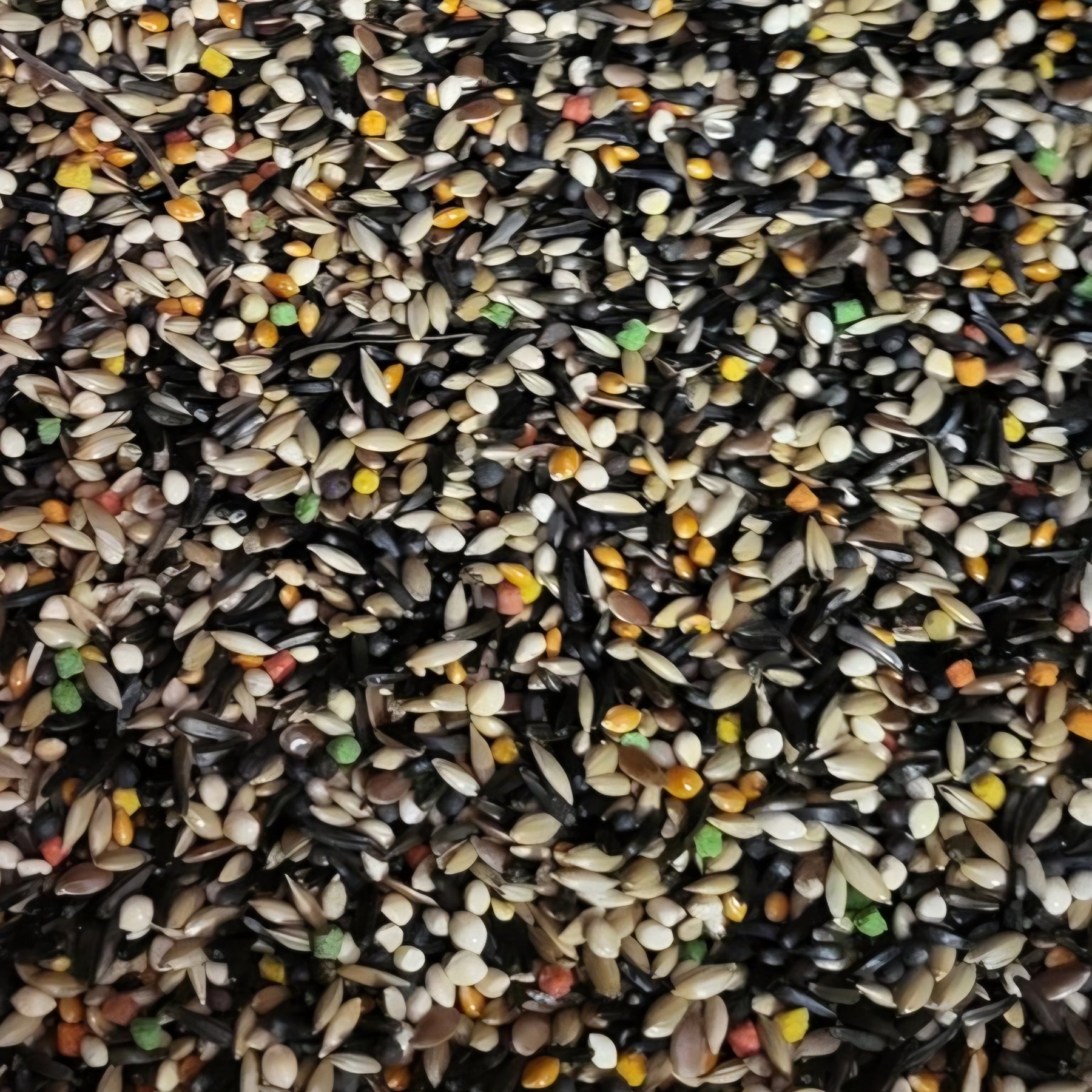 4 The Birds Canary Seed-4lb