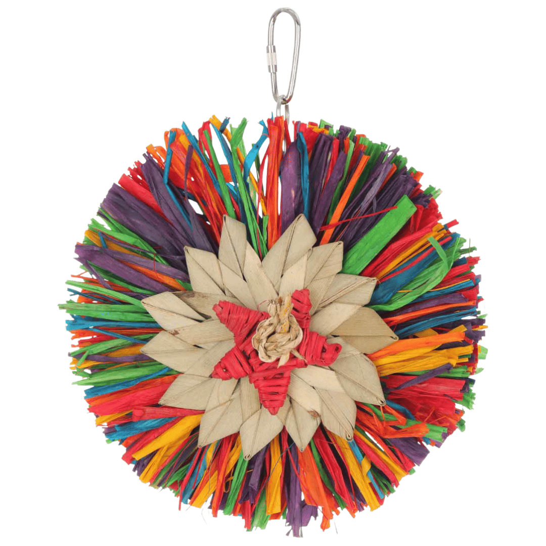 Rainbow Raffia