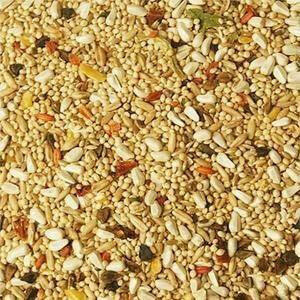Cockatiel seed - All Things Birds