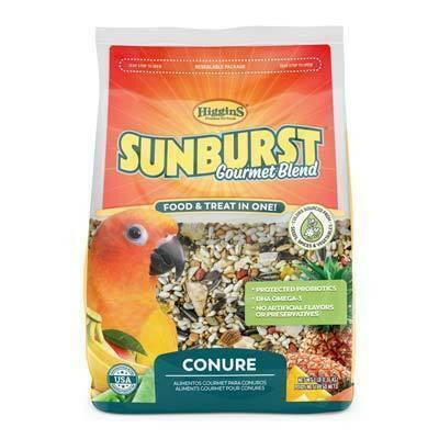 Higgins Sunburst Conure food - All Things Birds