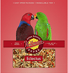 Volkman Avian Science Super Eclectus-4lb - All Things Birds