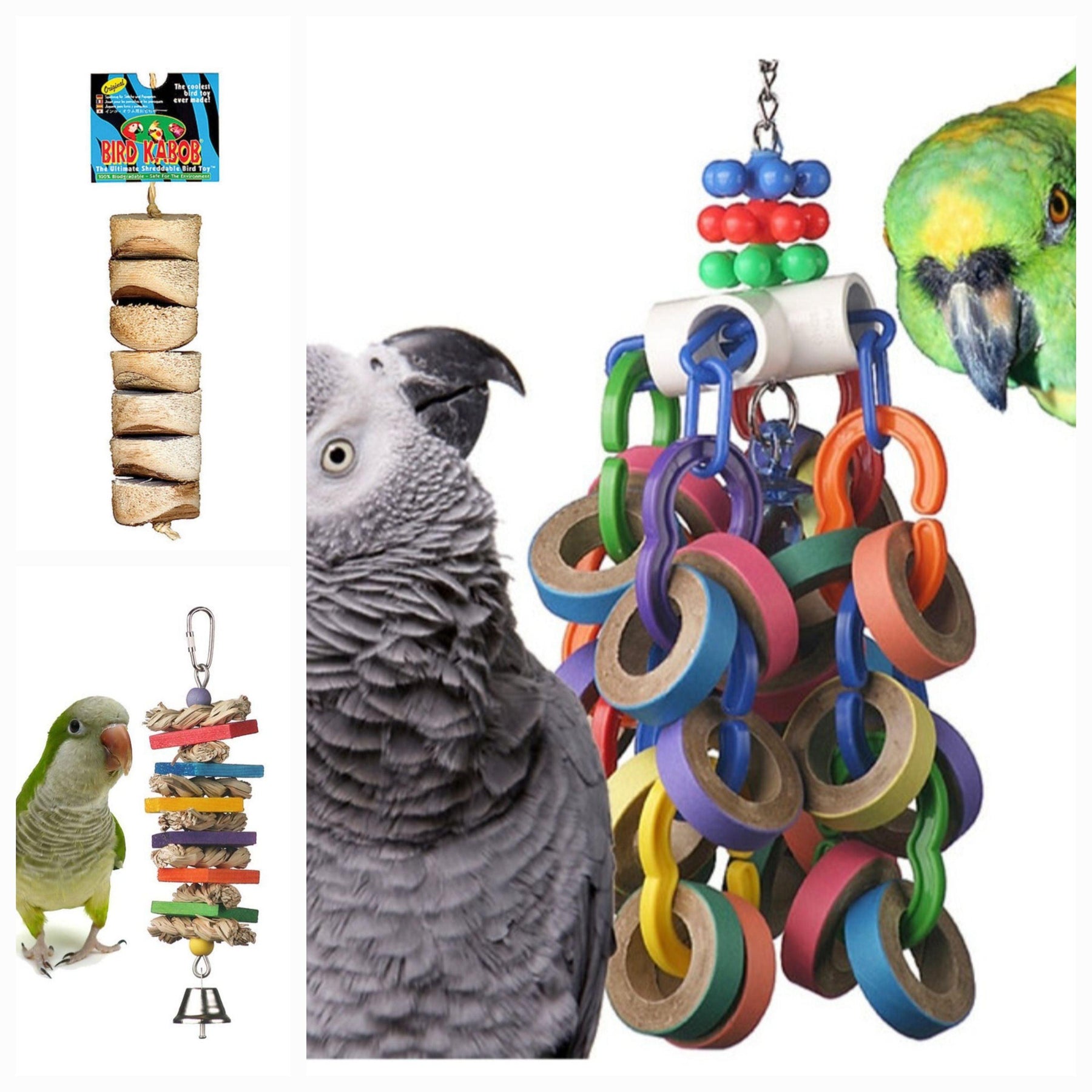 Parrot playing with toys