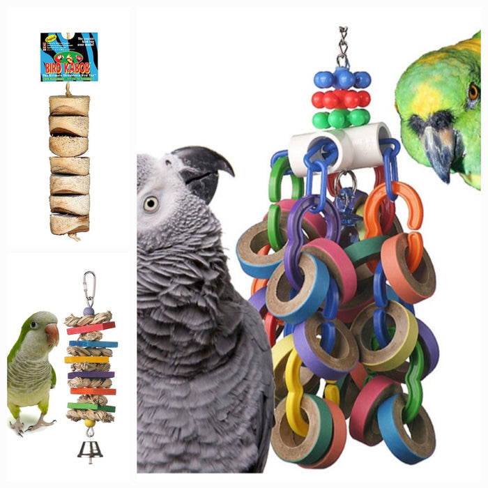 Parrot playing with toys