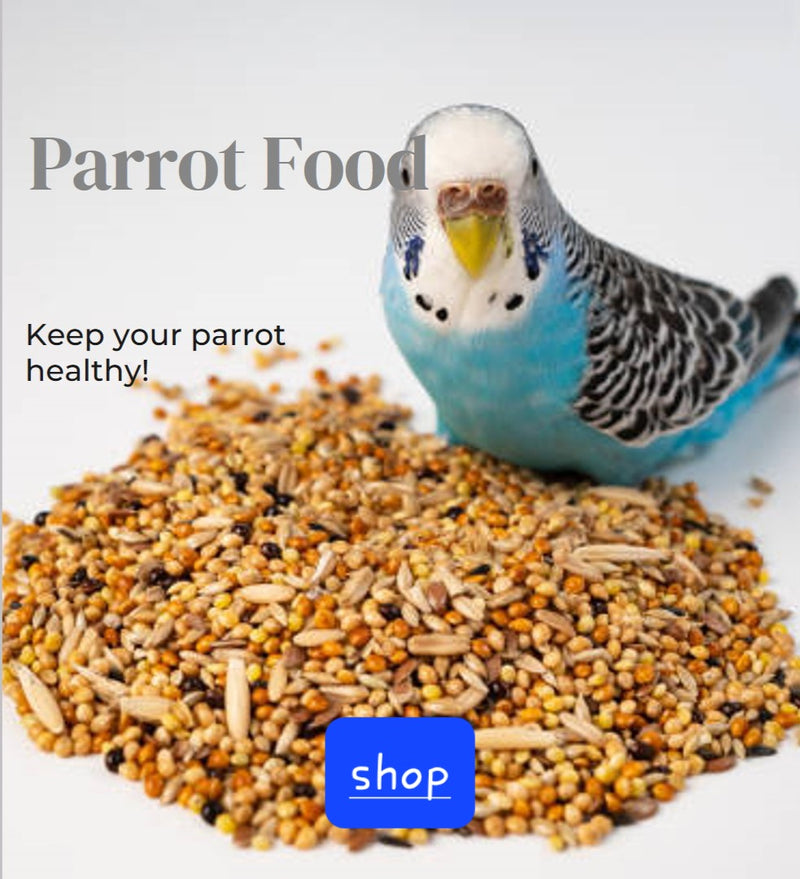 All Things Birds
