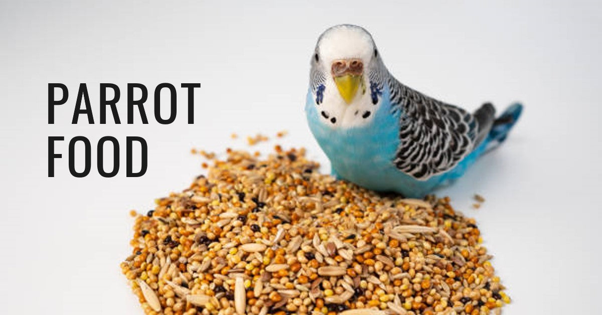 All Things Birds