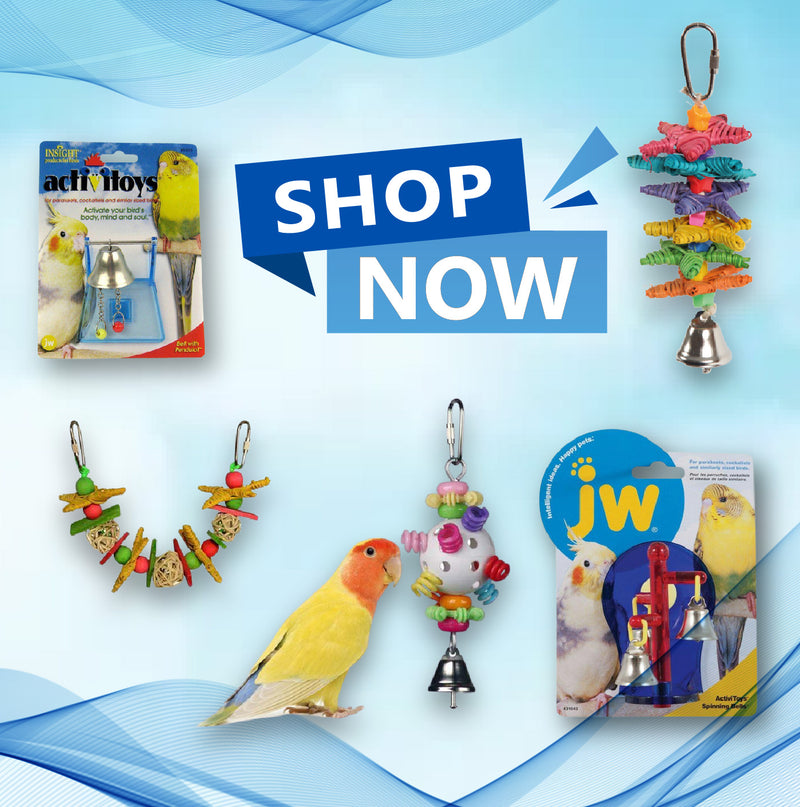 All Things Birds