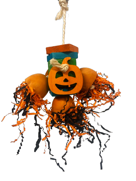 Shredded Pumpkin Medium