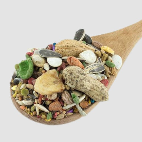 Bird Treats - All Things Birds