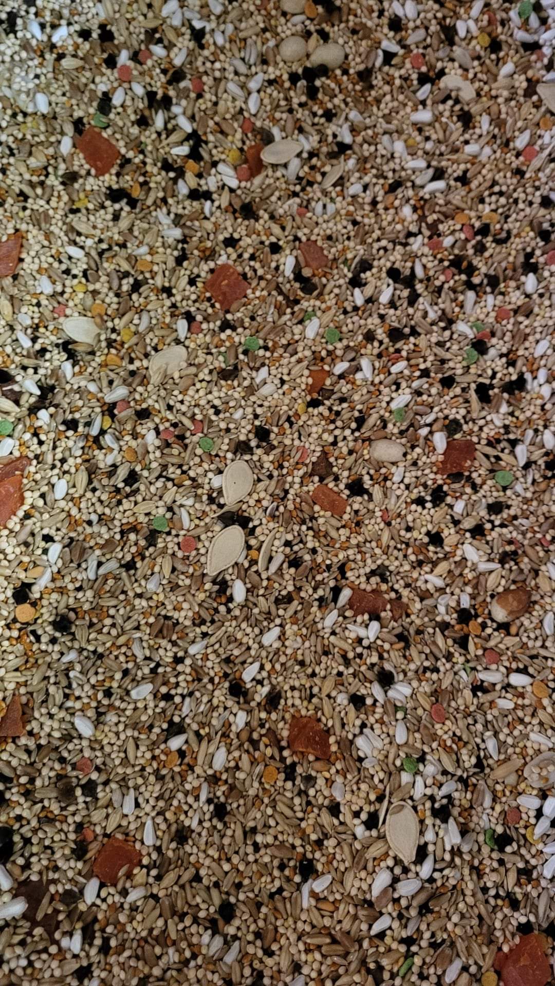 4 The Birds Small Hookbill Seed-4lb