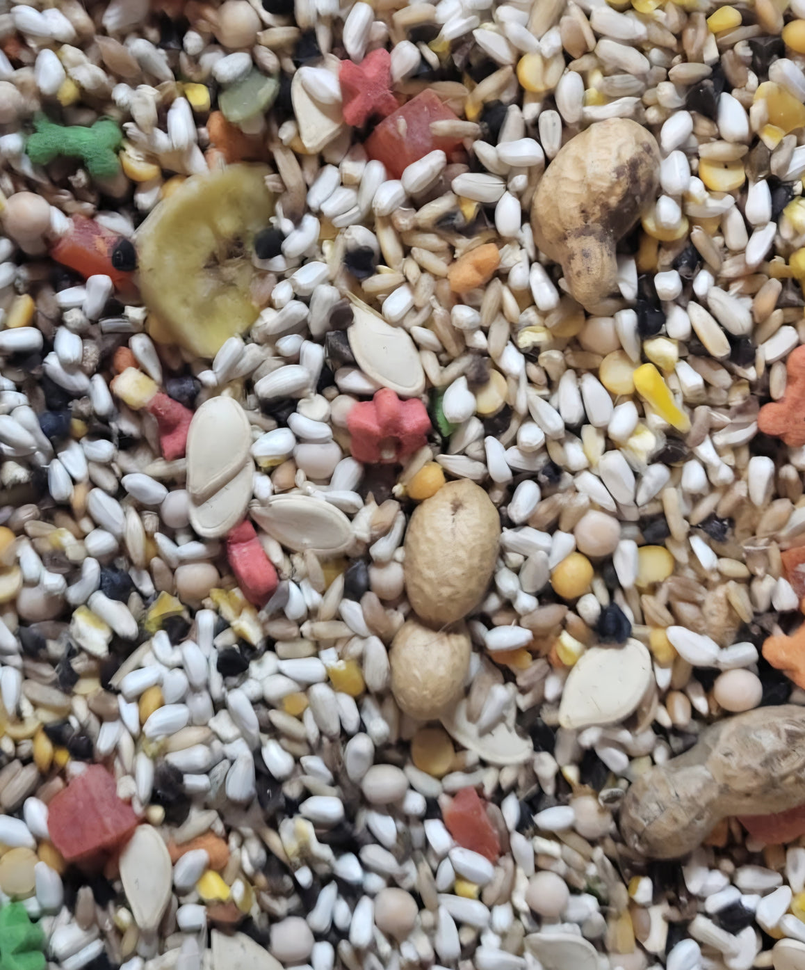 4 The Birds Premium Large Hookbill plus-4lb