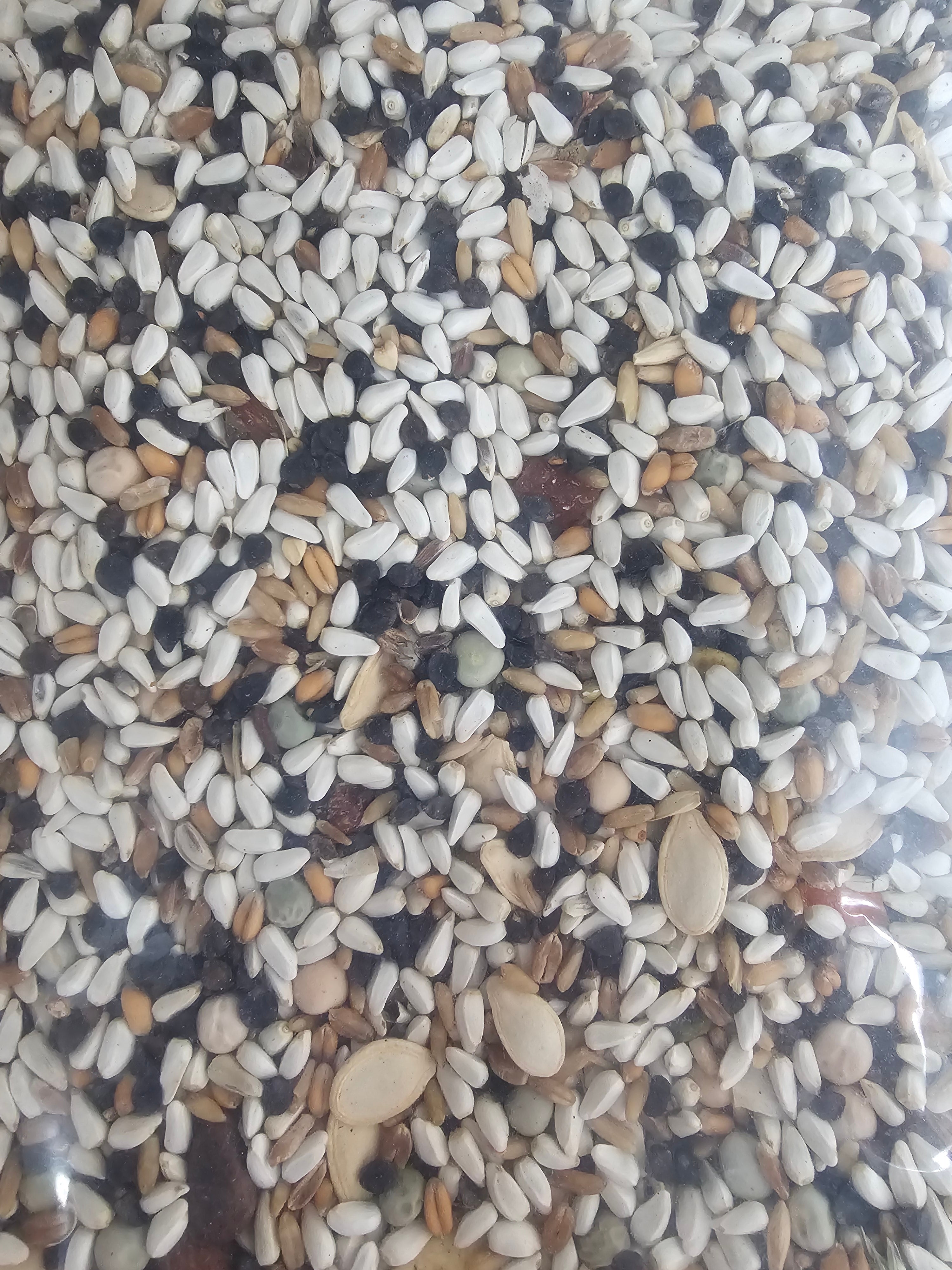 4 The Birds Premium Large Hookbill-4lb