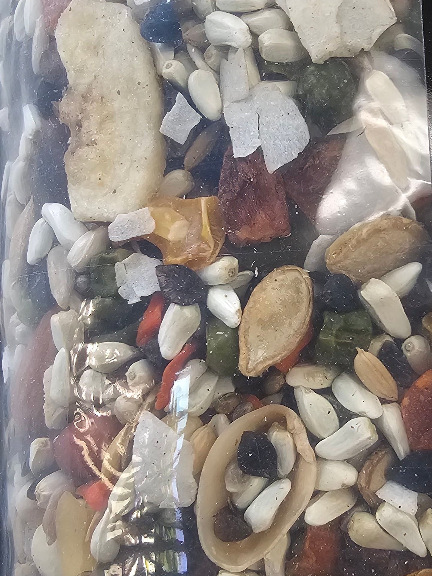Royal feeds large hookbill cuisine