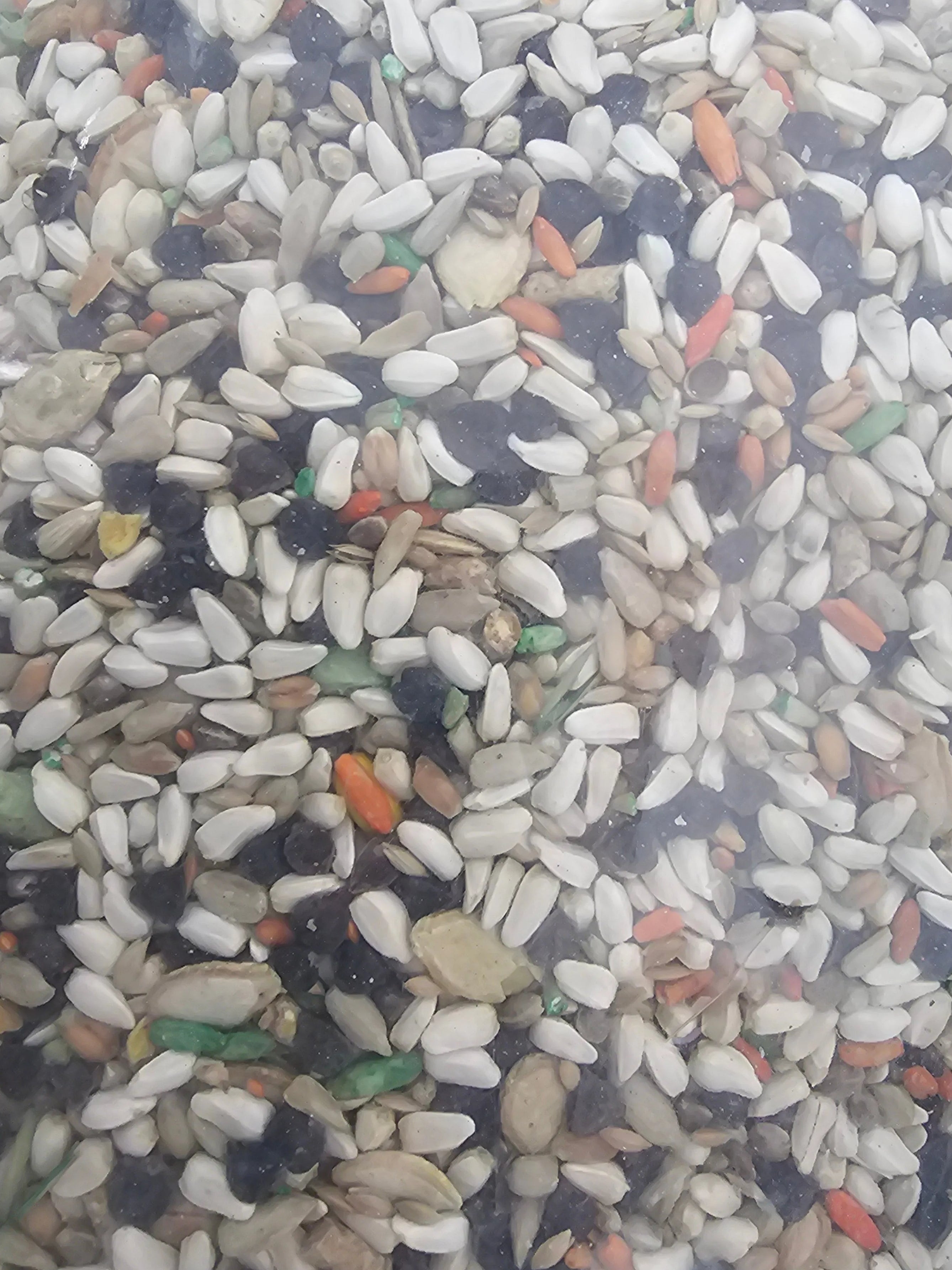 Royal Feeds Large Hookbill Plus Seed