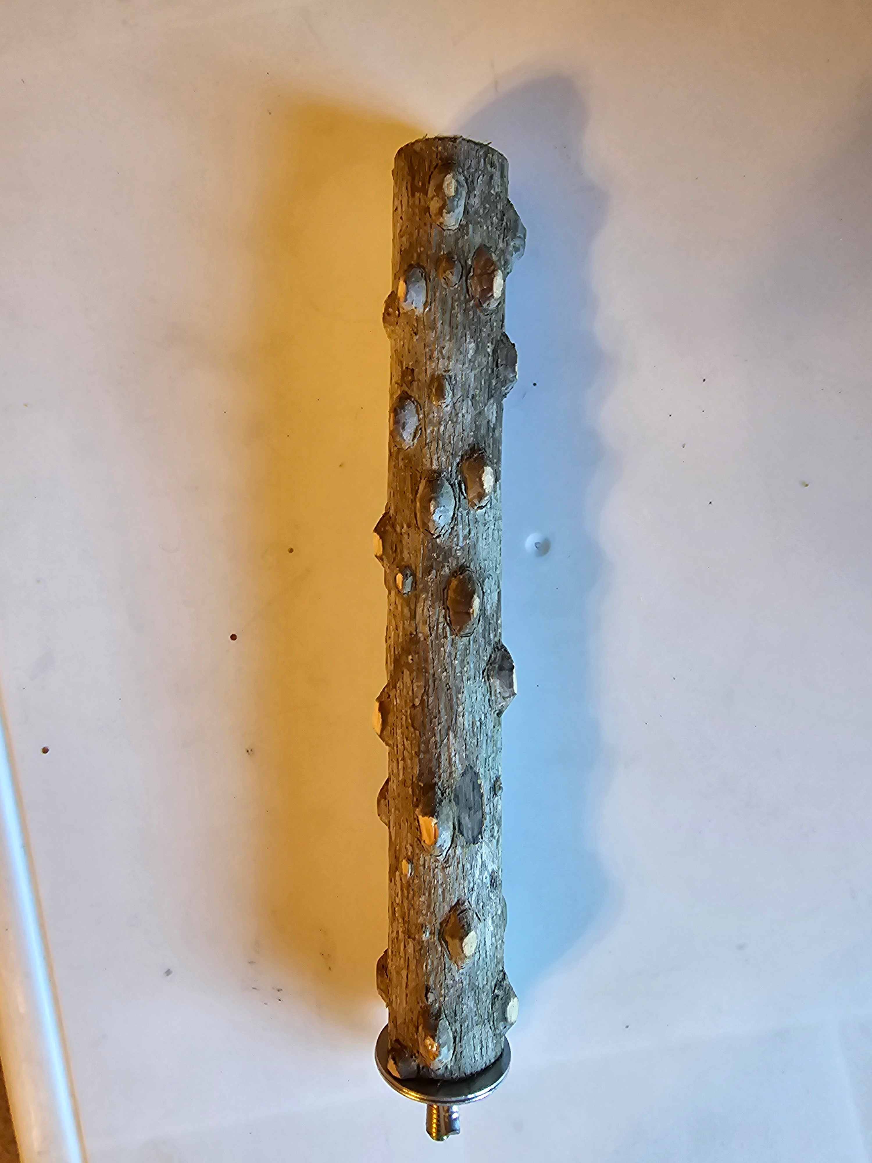 Natural Apple Wood Bird Perch