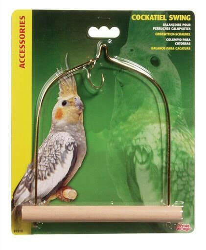 Bird Swing for Cockatiel - All Things Birds