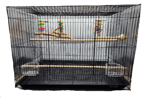 Cage Setup Bundle - All Things Birds