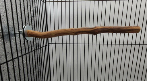 Manzanita Bird Perch - All Things Birds