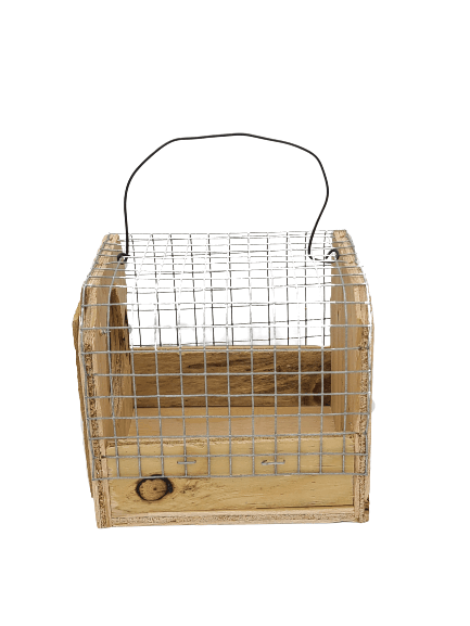 Wooden Bird Carrier - All Things Birds